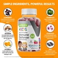 thumbnail image 5 of VITEEY Kids Multivitamin Gummies with Probiotics, Immune Support, Berry Flavor, 60 Ct, 5 of 10