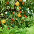 thumbnail image 6 of Hanging Yellow Ball Fruit Fly Trap, Sticky Glue Catcher for Flying Insects, 2 Pack, 6 of 8