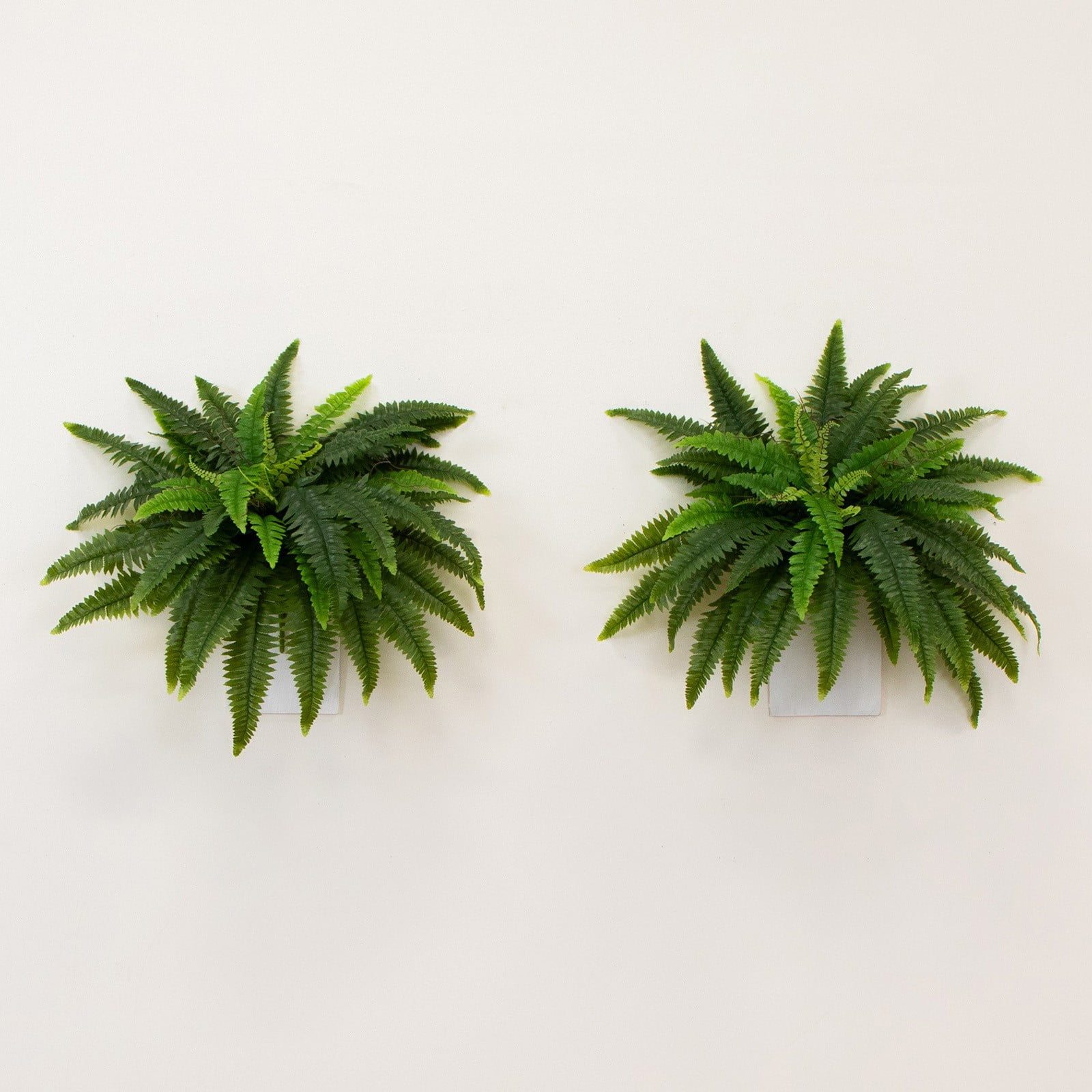 Liulin 1Pc Artificial Ferns for Outdoors, Artificial Boston Fern Bush with 21 Fronds, Realistic Fake Ferns for Home Garden Porch Decor, Faux Ferns for Outdoor Planter, Ferns Artificial Plants, 24"