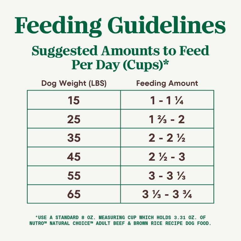 Nutro Natural Choice Beef Brown Rice Recipe Adult Dry Dog Food 12 lb