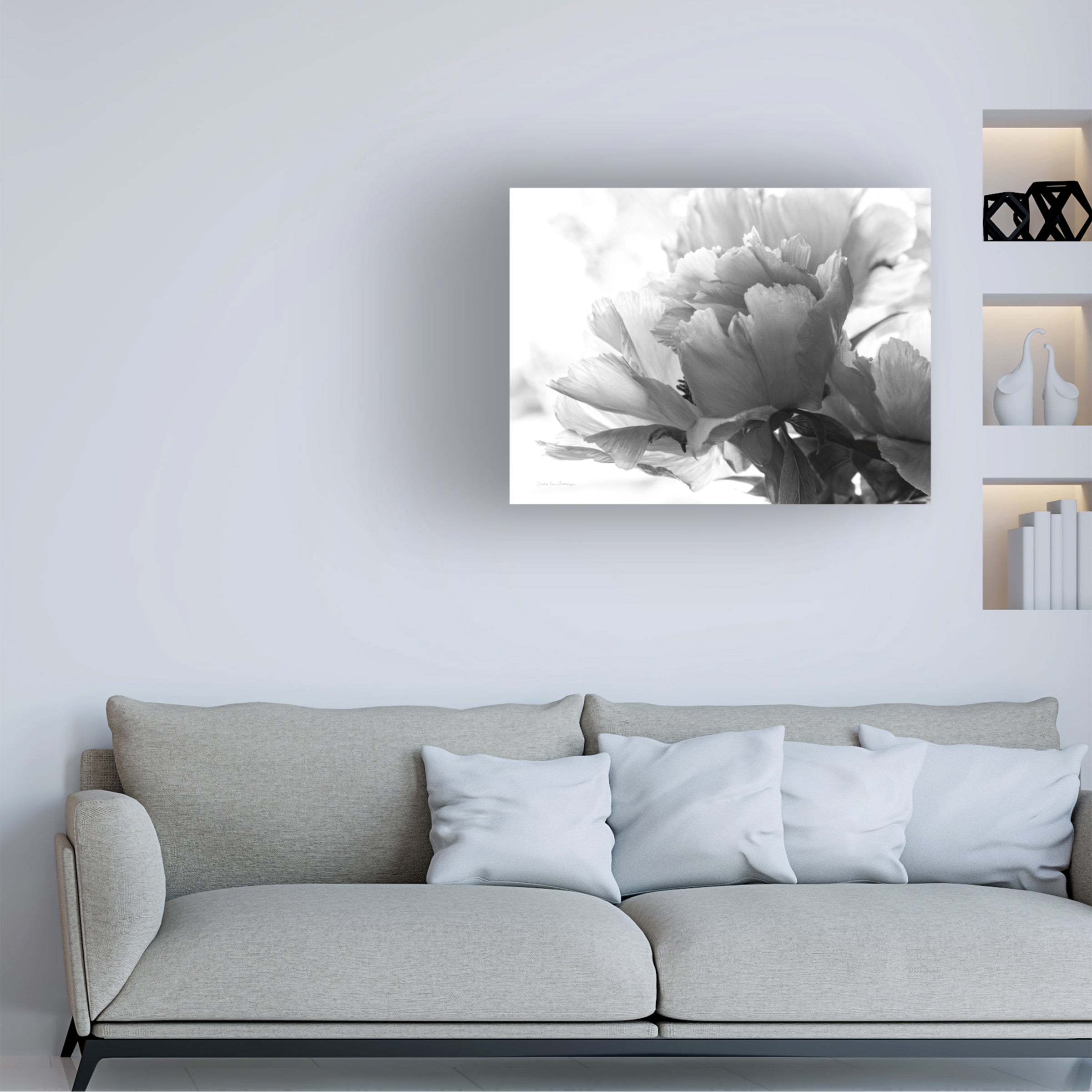 Debra Van Swearingen 'Translucent Peony IBW' Canvas Art