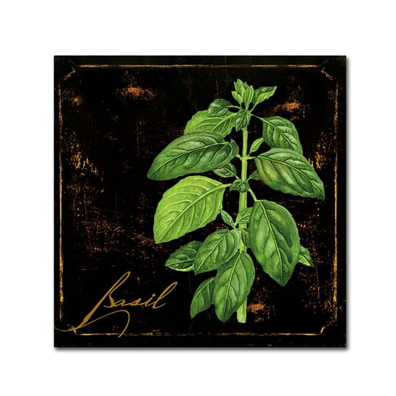 Trademark Fine Art "Black Gold Herbs IV" Canvas Art by Color Bakery