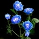 thumbnail image 1 of Luces solares para jardín FloreceBien, luz LED mejorada con energía solar con 6 flores rosas, luces decorativas solares impermeables para patio, camino, jardín, césped, 1 of 6