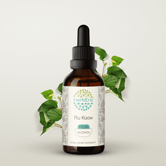 Plu Kaow Alcohol Herbal Extract Tincture, Super-Concentrated Wildcrafted Yu Xing Cao (Houttuynia Cordata) Dried Herb 2 oz