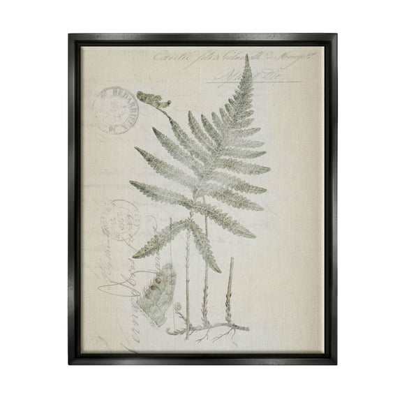 Stupell Industries Vintage Post Card Fern Leaf Botanical & Floral Drawing Black Floater Framed Art Print Wall Art