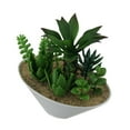thumbnail image 4 of Set of 2 Artificial Succulent Plants in Oval Ceramic Dish Planters, 4 of 5