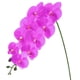 thumbnail image 1 of Uxcell 1-Pack Flores de Orquídea Artificial 9 Pétalos Grandes 37 Pulgadas Ramo de Seda Faux Phalaenopsis Púrpura Oscura Orquídeas Falsas para Hogar/Boda, 1 of 1