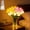 Mixed, variant on Radiant Romantic Tulip Light, Twinkling Tree Tulips, 15 PCS Twinkling LED Tulips That Never Fade, Flower Shaped Ambient Night Lamp for Bedroom Bedside Home Decor and Holiday Gift
