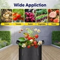 thumbnail image 7 of iPower 20 Pack 2 Gallon Grow Bags, Garden Planting Nonwoven Fabric Pots with Reinforced Handle, Heavy Duty and Aeration Planter Pot for Tomato, Fruits, Vegetables and Flowers, Black, 7 of 7