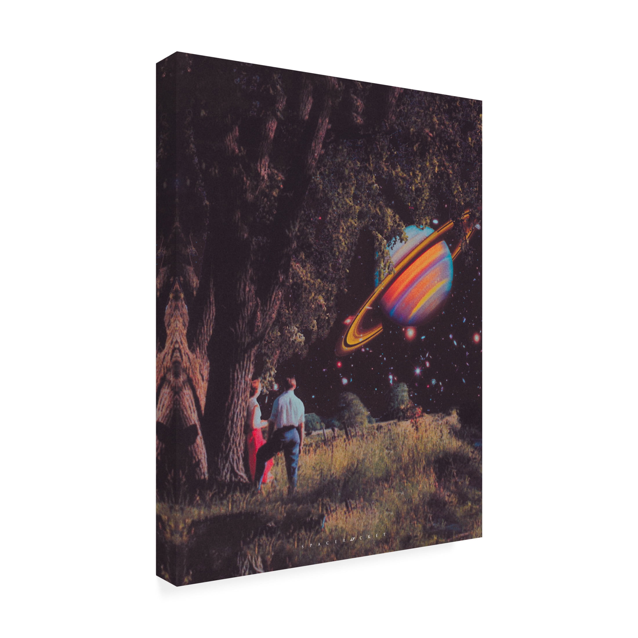 Trademark Fine Art spacerocket art 261 Canvas Wall Art