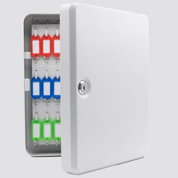 OATIPHO Locking Key Storage Organizer Rack Plastic Coating Anti Aging 1Pcs