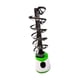 thumbnail image 5 of Accesorios para equipo de entrenamiento de tenis de mesa, ligero, 15 pelotas 9 calles, 5 of 9