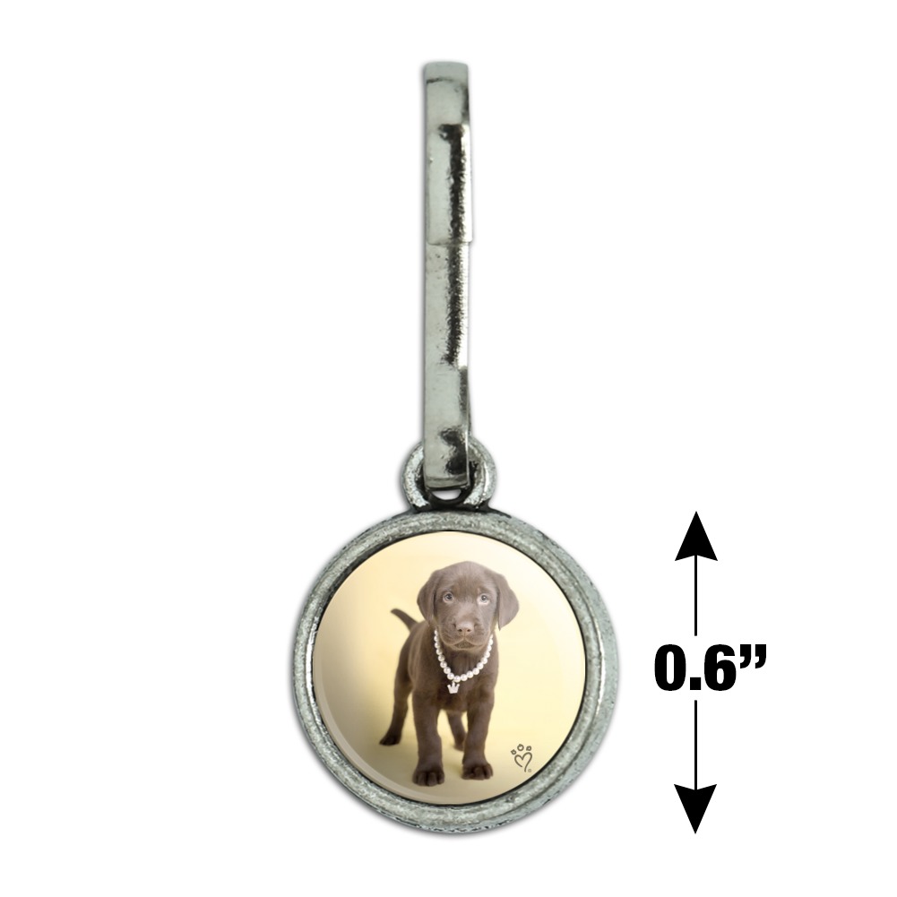 chocolate lab charm
