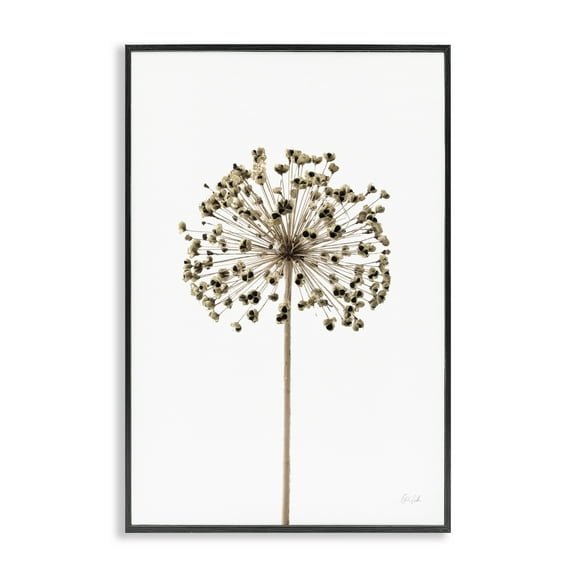 Stupell Industries Minimal Allium Bud Plants & Flowers Painting Black Framed Art Print Wall Art, 12 x 18