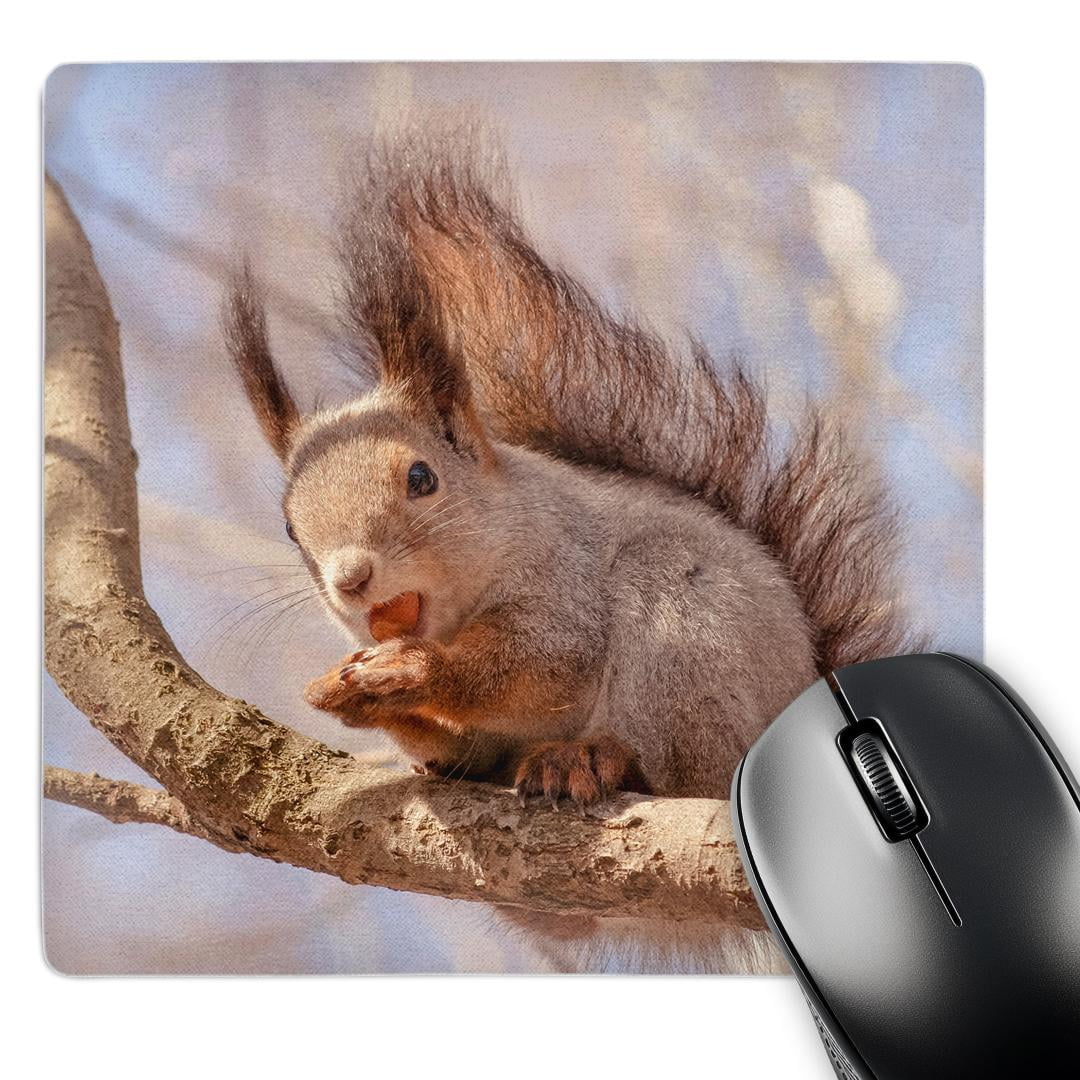 3dRose Royal Tern Bird Photography Mouse Pad - 8x8 Inch Wildlife Desk Mat