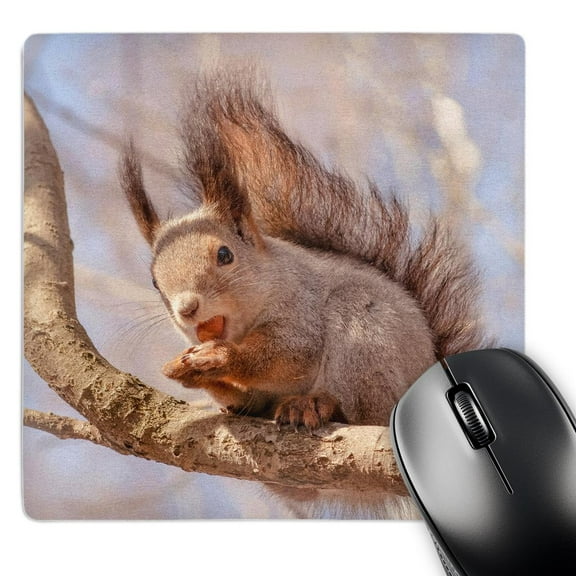 3dRose, Funny squirrel sits on a tree branch and eats a hazel nut, MousePad