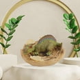 thumbnail image 4 of Figuras de dinosaurios,modelo de juguetes de dinosaurio regalo animal huevo huevos,Figura de animal de dinosaurio de juguete de simulación para niños,Figura de dinosaurio de plástico, 4 of 8