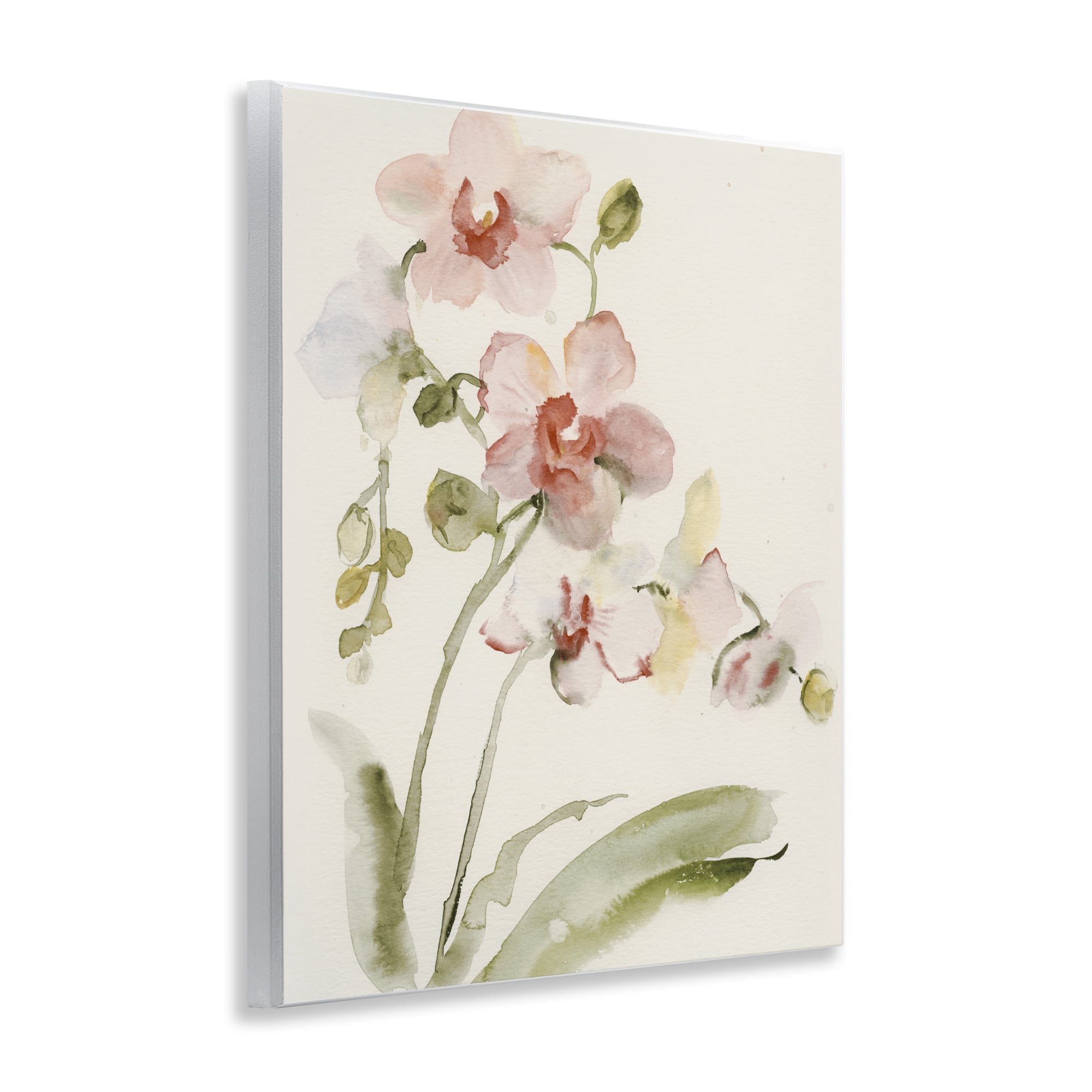 Stupell Industries Gentle Pink Orchid in Bloom Wall Plaque Art, design by Victoria Barnes