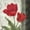 Unframed, variant on Art.com Etude en Rouge II Art Print by Pamela Gladding, 16" x 16"