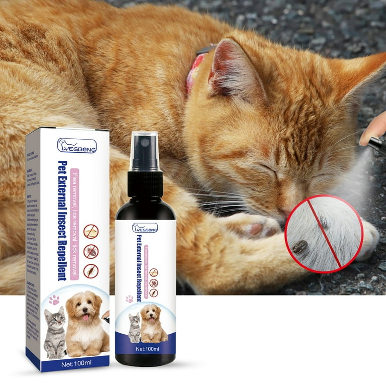 Cat lice removal online