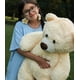 thumbnail image 4 of Oso de peluche Morismos Giant, 90 cm, color beige y crema, 4 of 5