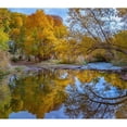 thumbnail image 3 of Fitzharris, Tim 22x20 Black Modern Framed Museum Art Print Titled - Verde River near Camp Verde-Arizona-USA, 3 of 5