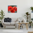 thumbnail image 2 of Bold Red Poppy Flower Trio Botanical & Floral Painting Gallery Wrapped Canvas Print Wall Art, 2 of 7