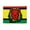 Black zipper, variant on Caribbean Rasta Colors Flat Accessory Pouch Lion Makeup Bag Cosmetic Bag