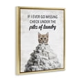thumbnail image 3 of Stupell Industries Piles Of Laundry Cat Quotes and Sayings Painting Gold Floater Framed Canvas Art Print Wall Art, 25 x 31, 3 of 9