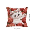 thumbnail image 3 of Tuvgenk Cat Throw Pillow Covers 16x16 in Square Comfort Spring Pillow Covers Embroidered Decorative Animals Couch Cushion Covers with Zipper, 3 of 6