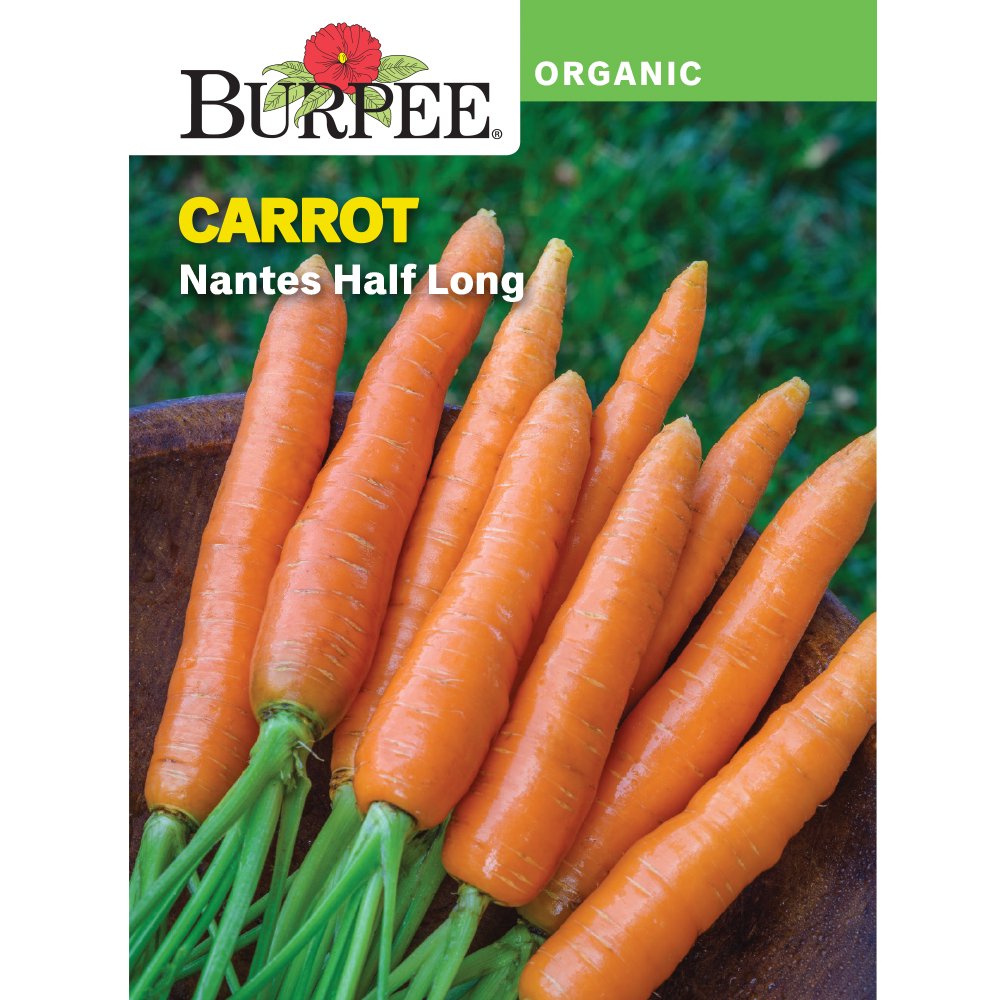 Burpee Organic Nantes Half Long Carrot Vegetable Seed, 1pack Walmart