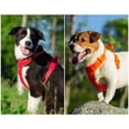 thumbnail image 4 of TRUELOVE Pet Harness Nylon Reflective Comfortable and Breathable Explosion-proof Small Medium Large Outdoor Camping HP5652 ShopWise Round, 4 of 9
