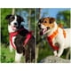 thumbnail image 4 of TRUELOVE Pet Harness Nylon Reflective Comfortable and Breathable Explosion-proof Small Medium Large Outdoor Camping HP5652 ShopWise Round, 4 of 9
