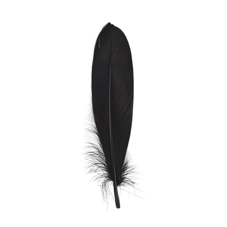 Doolland 50 Pcs Natural Black Ostrich Feathers 5.9-7.8 inch(15-20cm) Bulk for DIY Wedding Party Centerpieces, Easter, Gatsby Decorations Feather