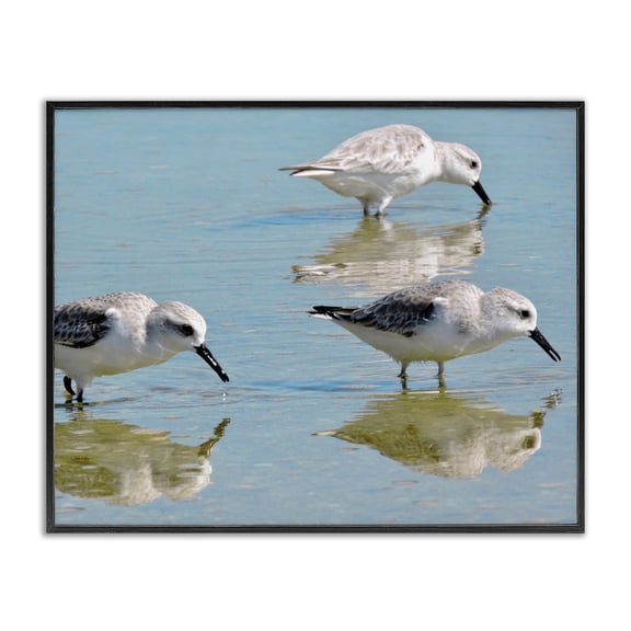 Stupell Industries Traditional Sandpipers Shallow Water Reflection Black Framed Giclee Art, 14 x 11, by Graffitee Studios