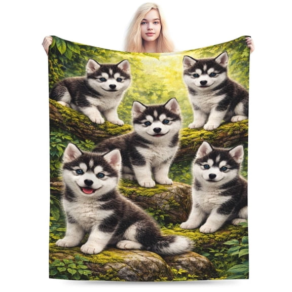 Cute Husky Puppies Blanket Adorable Dog Throw Blanket Siberian Husky Puppy Animal Soft Cozy Blanket for Couch Bed Kids Room Decor 50x40