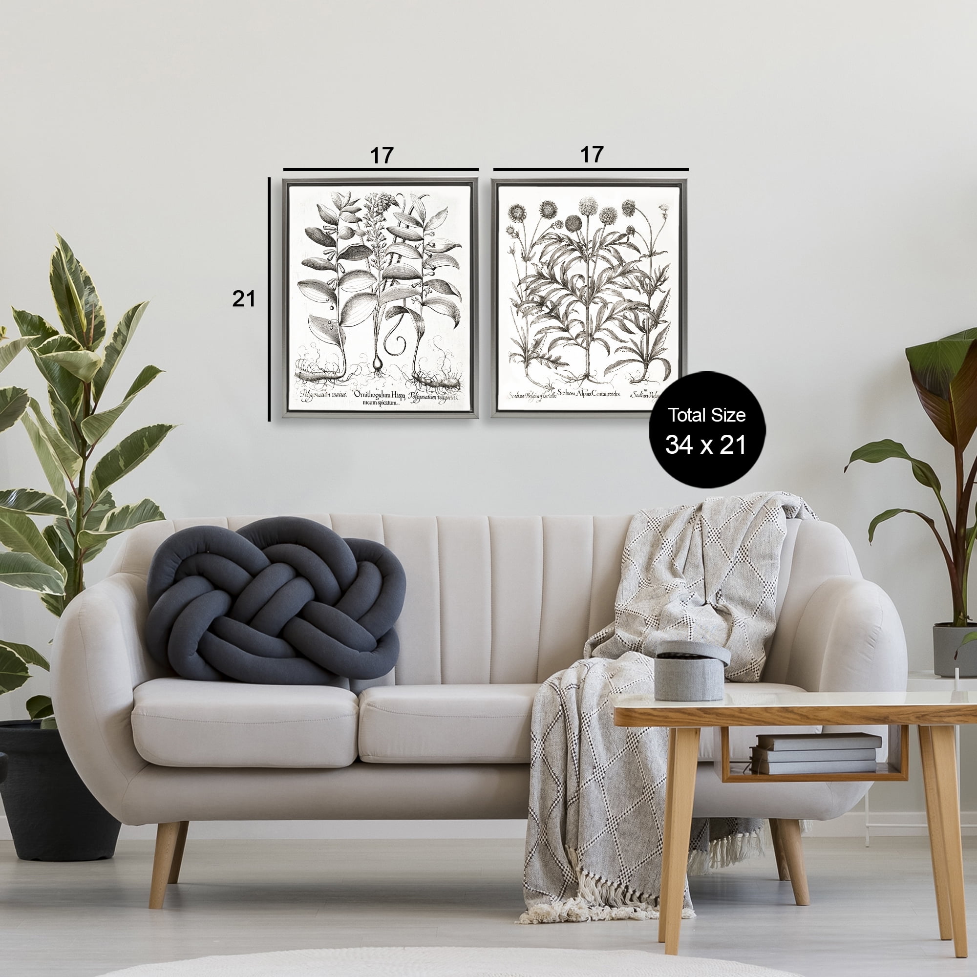 Botanical Root & Plant Studies 2 Piece Gray Framed Floater Canvas Set, design by Lettered and Lined
