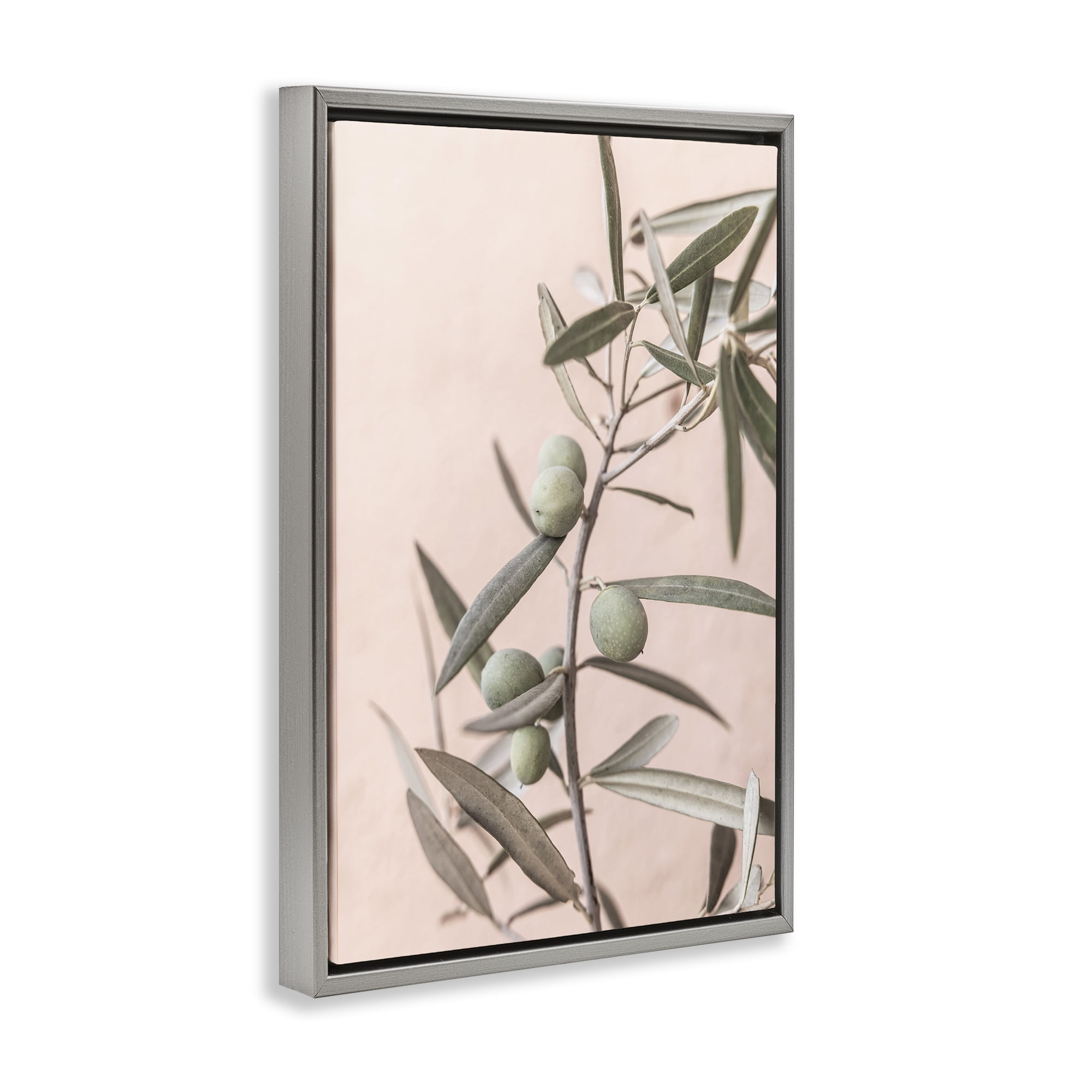 Stupell Industries Spanish Olive Branch Plants & Flowers Painting Gray Floater Framed Canvas Art Print Wall Art, 21 x 31