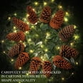 thumbnail image 4 of 9-10cm 6pcs Natural Pine Cones, Large Pinecone,Natural Pinecone Ornaments Big Pinecones for Autumn and Winter Decor, 4 of 5