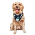 thumbnail image 5 of Disketp Gnome and Snowflakes Dog Bandanas 1PC Triangle Adjustable Puppy Bandana Bib Handkerchief for Large Medium Girl Dogs Pets Gift, 5 of 6