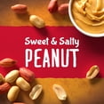 thumbnail image 3 of Kroger Sweet and Salty Peanut Chewy Granola Bars 18 ct / 1.23 oz - 5 Pack, 3 of 5