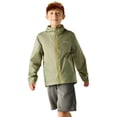 thumbnail image 4 of Regatta Boys/Girls Lever Waterproof Shell Jacket, 4 of 5