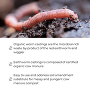 Mountain Valley Seed Company Organic Red Worm Castings Fertilizer, 0.13 cubic foot