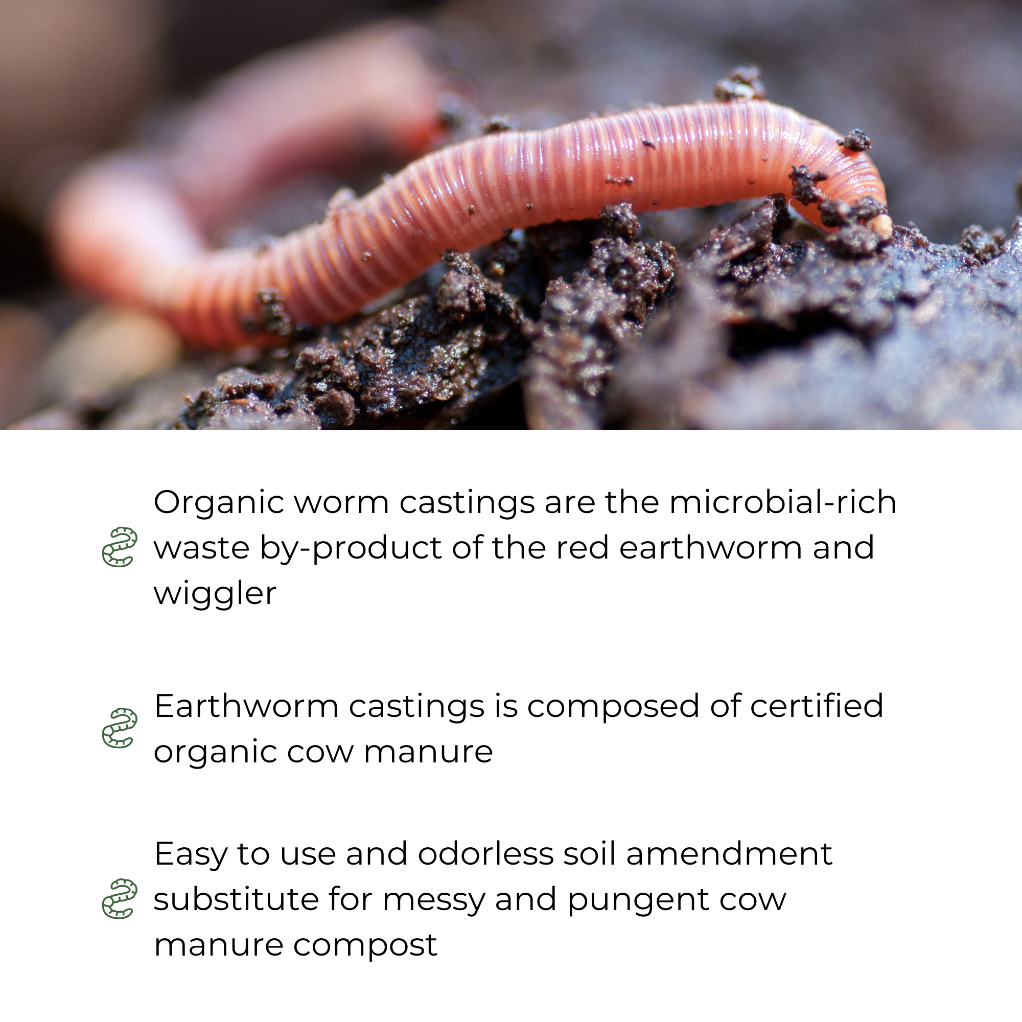 Earth Worm Castings – Organic Red Worm Compost Soil Amendment - .13 cubic foot - Approximately 1 Gallon - 6 Lbs - Organic Red Worm Vermiculture and Compost Home, Garden, Greenhouse, and Farm - image 3 of 7