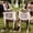 Pink, variant on Just Married Wedding Chair Signs Set of 2, Sheer Lace Bride and Groom Chair Back Decor with Ribbon, Romantic Elegant Decor for Wedding Reception Ceremony Sweetheart Table