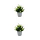 thumbnail image 3 of Kearding Bonsai plástico de imitación de plantas, elegante, de bajo mantenimiento, duradero, duradero, ecológico, plantas Bonsai Type6 NO6, 3 of 6