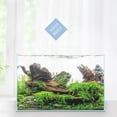 thumbnail image 7 of Aqua Worx 3 Gallon Rimless Tank - 11.81 x 7.08 x 9.44 inches Fish Tank - Tall Rimless Fish Tank - Clear Tall Glass Aquarium - Space Saving 3 Gallon Fish Tank - Durable Rimless Aquarium, 7 of 7
