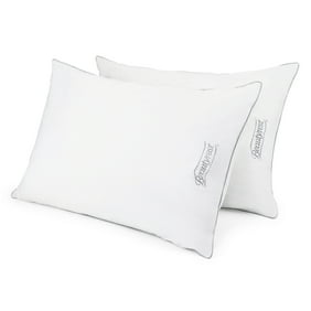 Beautyrest Silver Luxurious Spa Comfort Pillow In Multiple Sizes