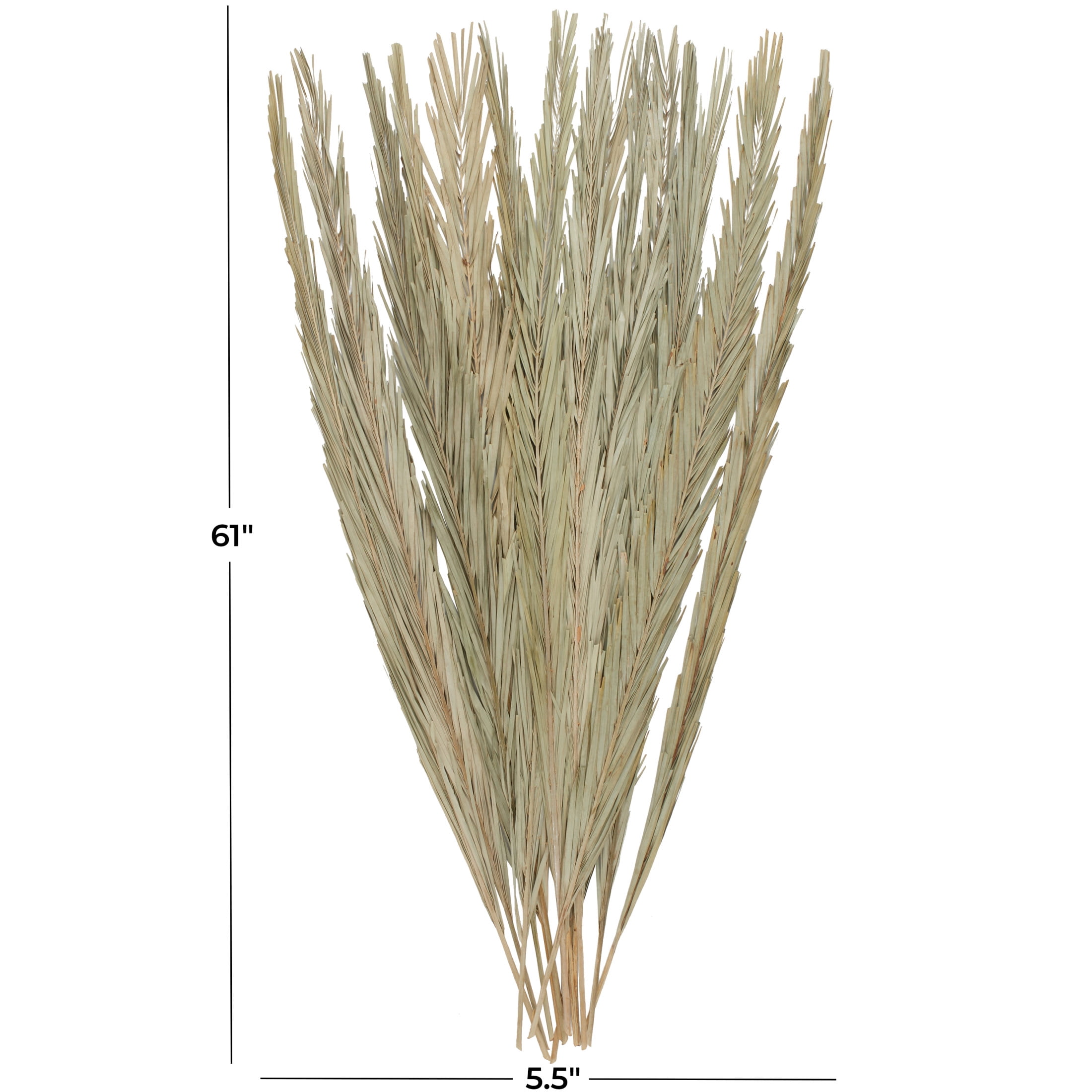 61" Tall Palm Leaf Natural Foliage Bouquet with Grass, by DecMode