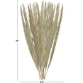 thumbnail image 3 of 61" Tall Palm Leaf Natural Foliage Bouquet with Grass, by DecMode, 3 of 9